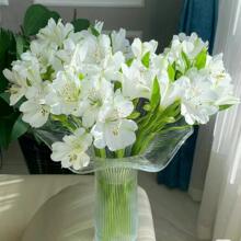 #水仙百合鲜花六出花云南斗南花市花卉直发直批花束家用水养插花