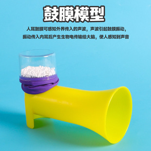 ��Ĥģ�����w�����Ĥģ���׃��@�ƌW����С���������������