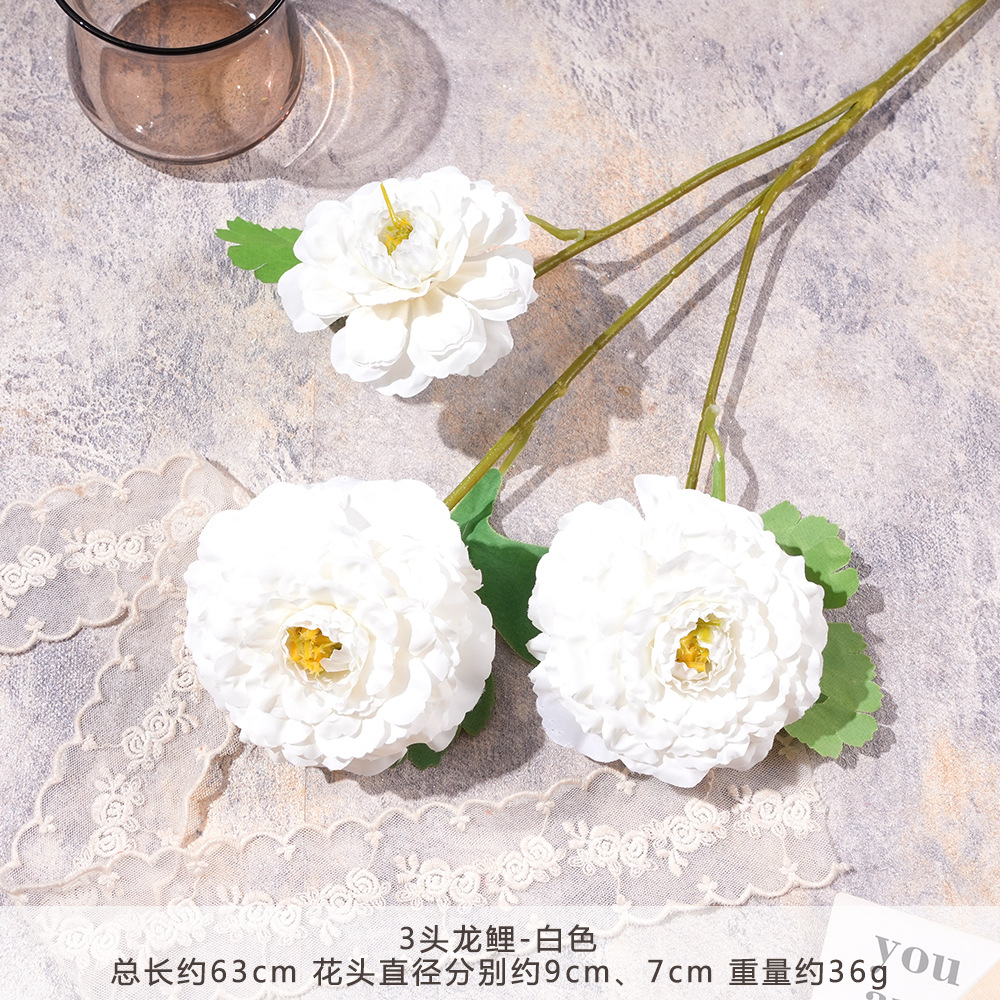 SHN-3 머리 용 잉어-화이트