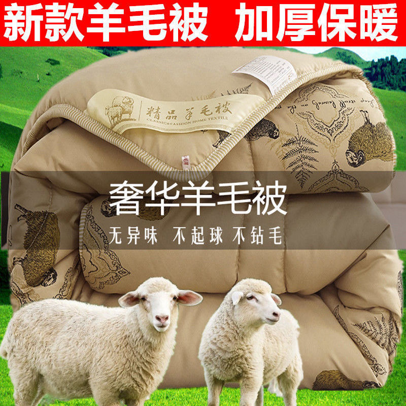 Wool is thickening Sheet Double Picture The quilt core Spring and autumn quilt keep warm quilt with cotton wadding student dormitory Autumn and winter quilt