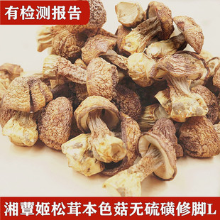 Производители напрямую снабжают Hunan Jiusato L Dry Cargo Brazilian Mushroos Оптовые съедобные грибы грибы 250 г