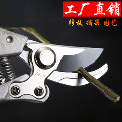 Pruning shears Gardening scissors Garden pruning fruit tree pruning scissors Floral pruning scissors Flower shears manufacturer