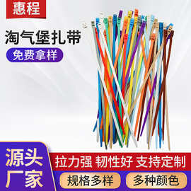 厂家批发淘气堡扎带彩色儿童游乐用彩色束线尼龙自锁式扎带固定带
