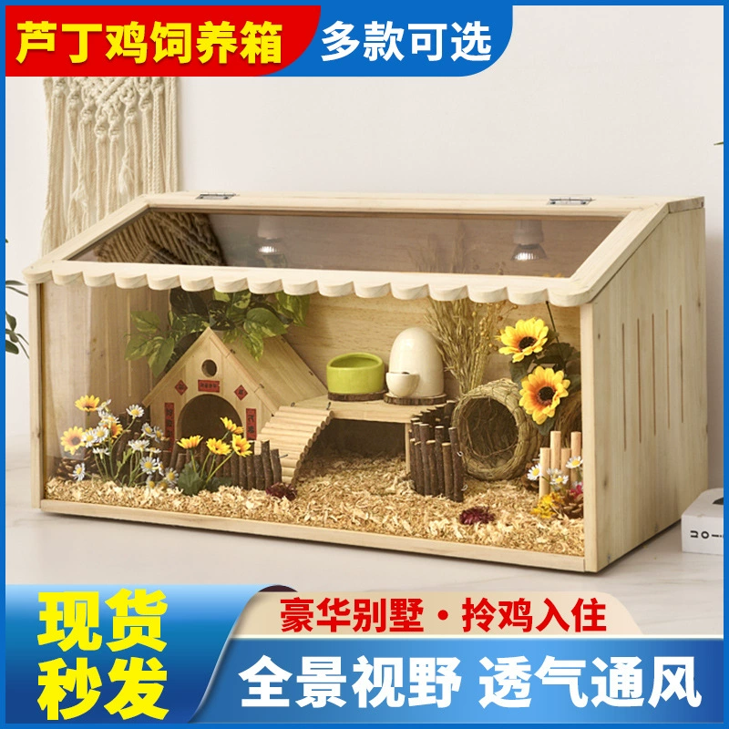 芦丁鸡饲养箱卢丁鸡窝小鸡笼子幼鸡育雏宠物保温箱鹌鹑养殖专用笼