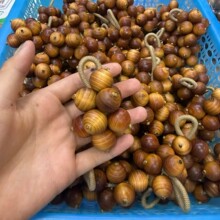 �°�����ľ12mm��Ȧ�ִ�������Ѵ����ľ�����s��������Ʒ���l