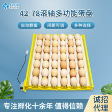 孵化机小型家用蛋盘 多功能自动翻蛋蛋盘 鸡鸭鹅鸟蛋蛋盘滚轴蛋盘