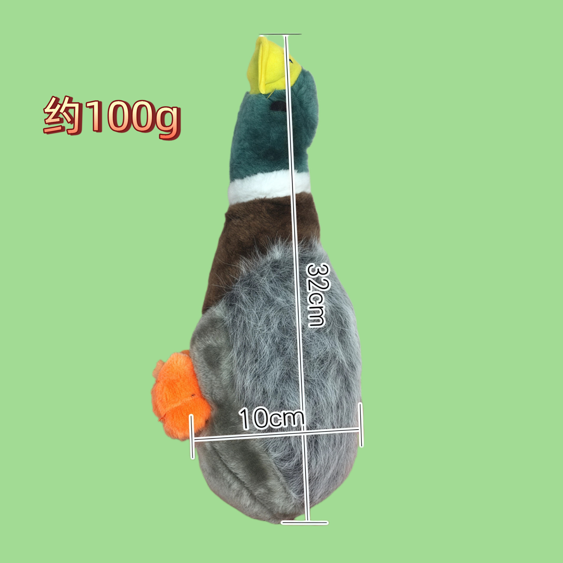 녹색 목 기러기