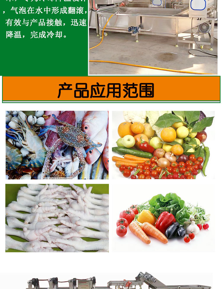 蔬菜3_06.jpg