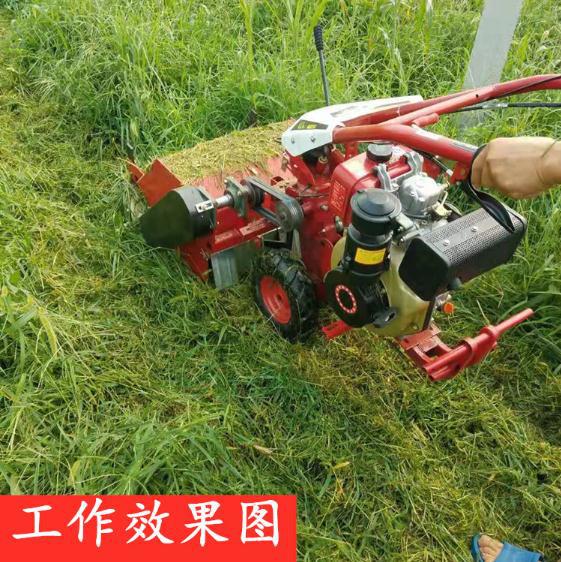 现货果园割草除草碎草机 园林苗圃碎草还田机 小型柴油农用割草机