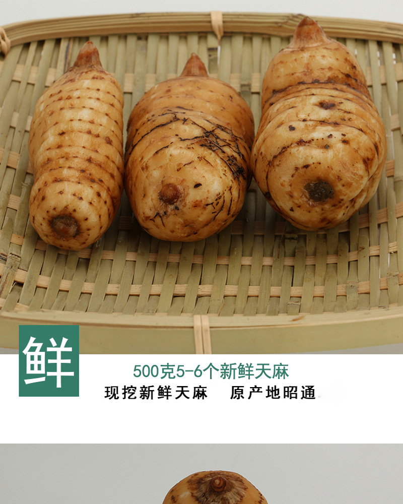 Fresh Gastrodia Root Yunnan Xiaocaoba Tian Ma 500g Wild Grown High Mountain Fresh Dug specifications