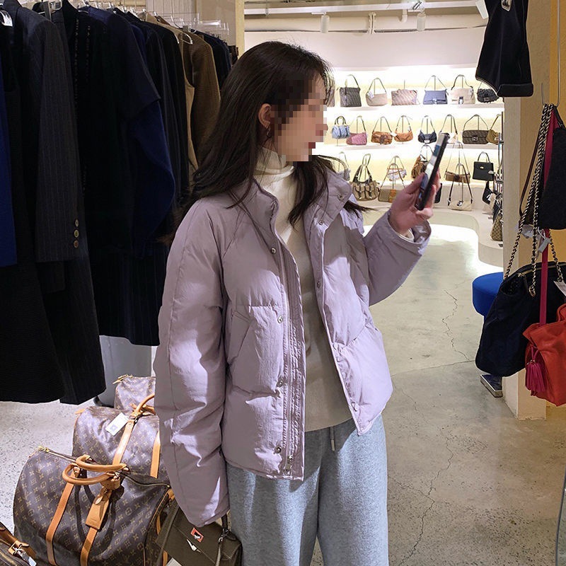 Cross-Border Purple down Cotton Jacket for Women, Short Style, 2024 Winter, Stand Collar Coat for Petite Women