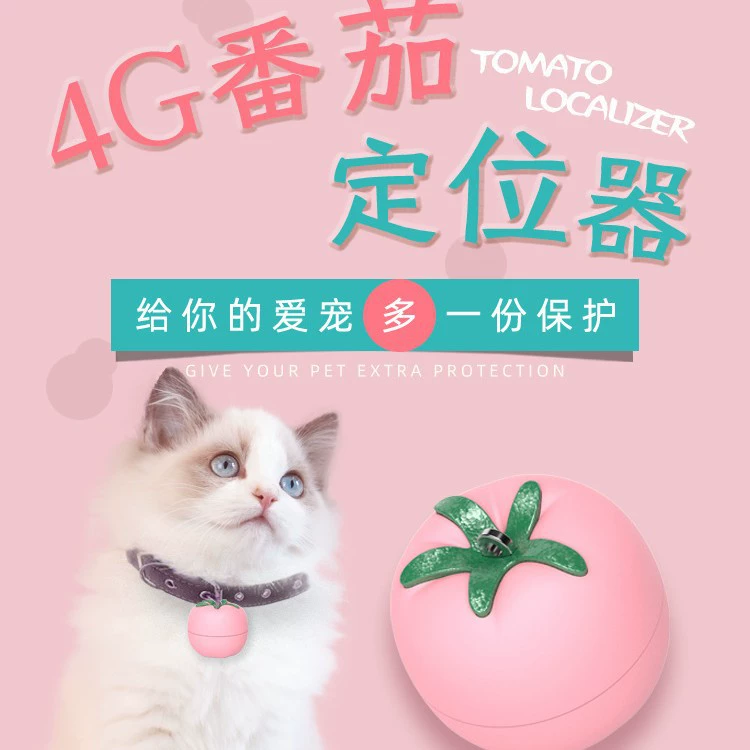 Локатор для домашних животных с помидорами, локатор для собак, умный ошейник, 4G, GPS для пожилых детей, локатор для домашних животных, анти-потерянный локатор