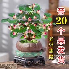 �ļ�������С��������辰�k���҃�ˮ����B�U�⻨��С�Gֲ������