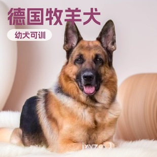 �pѪ�y������Ȯ�o�lȮ����Ȯ���w����С������N�����ǹ�����