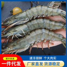 黑虎虾新鲜冷冻老虎虾海捕速冻大号黑虎虾斑节虾商用海鲜水产批发