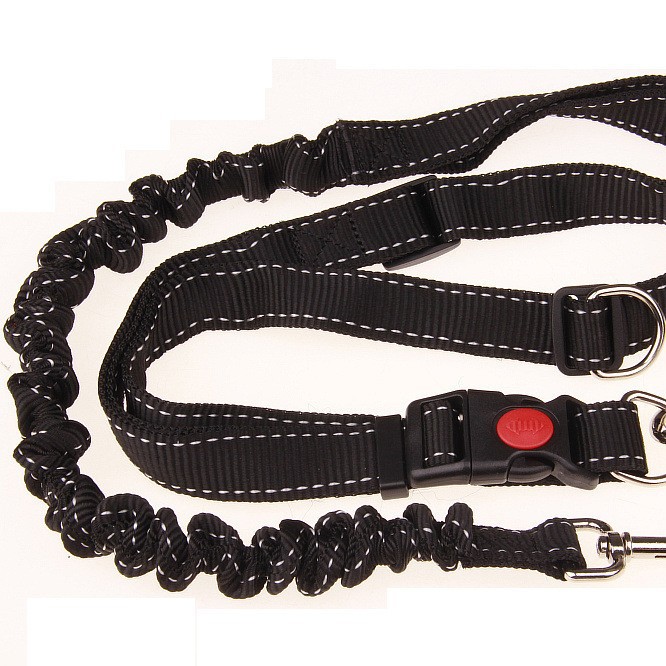Pet Chain Large Medium Small Leash Rope Running Dog Walking New Product_voghion.com