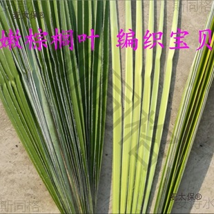 Grasshopper Fresh Palm Leaf Material Background Editing Wedding Brown Woven Rice Dumpling Mai Bao Beitai Leaf Butterfly Palm Woven