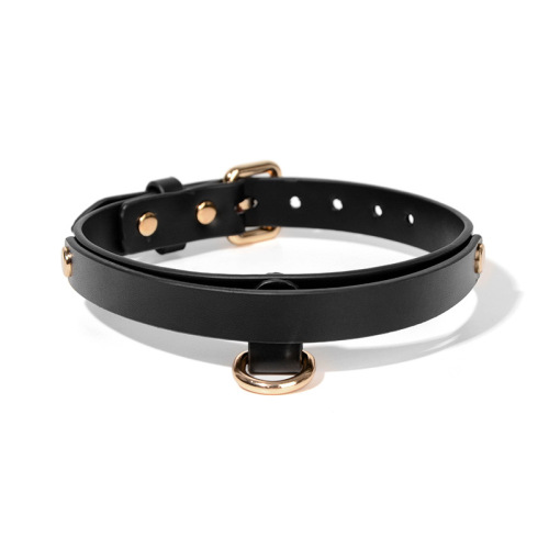 SM Collar DIY Lettered Playful Flirting Tool, Genuine Leather Neck Ring – Women's & Couples' Alternative Toy & Bondage Accessory