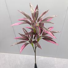 �����������ľ��Ѫ���콶�Gֲ�廨�쾰�͏d�辰ֲ��[����ˇ�b�