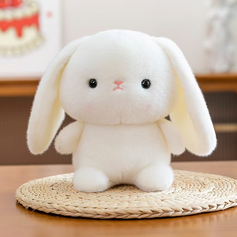 Cute rabbit