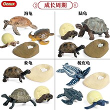 ��ͯ�ƽ����������ܺ������u�����������ӷ��������L����ģ��