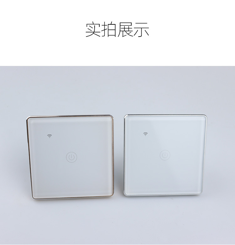 DS-101AL单零火_09.jpg