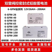 ˫�Ƿ����ܷ�ʽǦ������GFM-100ֱ����������վӦ�����100AH