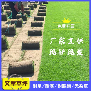 �R������ƺ�׃��@��������ƺͥԺ���@С�^�G���˹��Nֲ��Ƥ����