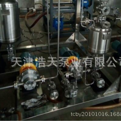 高真空分子蒸馏泵TDZL 磁力蒸馏齿轮泵 高真空蒸馏齿轮泵