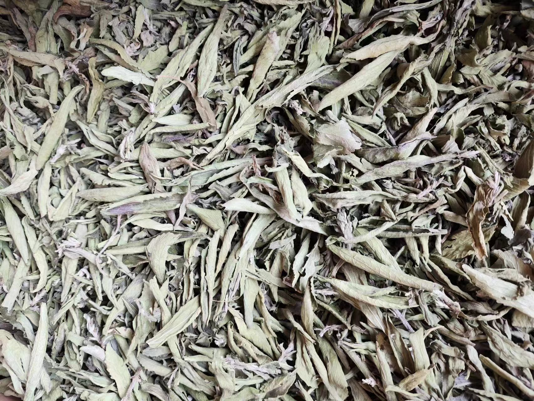 Stevia Leaf (Stevia rebaudiana) — Dried Sweet Herb for Tea & Natural Sweetening quality and texture