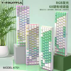 芸果果k 701キーライン分離68キー有線キーボード機械キーボード手触りダブルカラーRGB発光キーボード