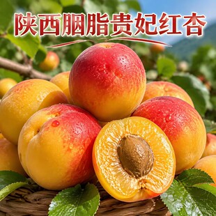 �����֬���F��С�t÷��5����]���r�����ЋDˮ���t������������