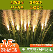 led̫��ܹ��w���⁆�����JȔ��@�־��^�����@ͥԺ��ƺ����؟�