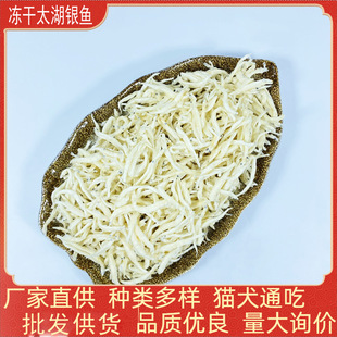 ����̫���y�~؈��ʳ؈�Z���b���l���䌙����ɹ���ʳ���Z��Z��؈