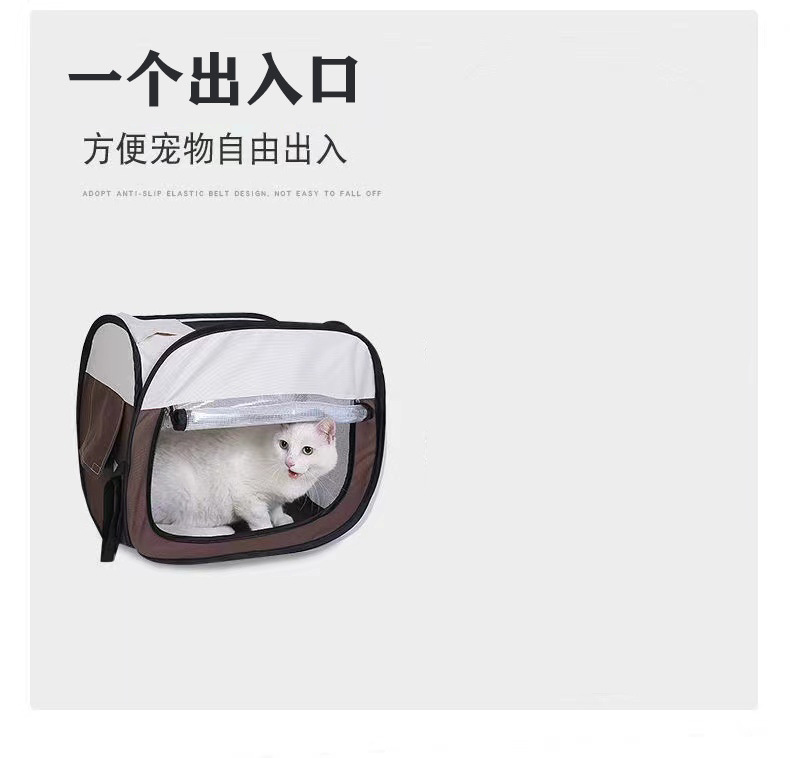 01e3df7a-14fe-4153-92e3-d641459454cd.jpe