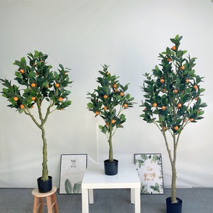 ����ֲ���������ԼҾ���������ؔˮ������Ә��辰�F؛���Sֱ�l