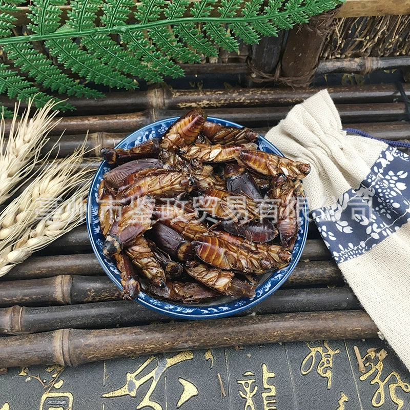Dried American Cockroach Periplaneta Americana Fei Lian TCM Raw Herb 500g key features