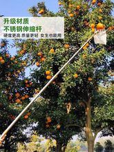 摘水果神器伸缩杆高空摘枇杷柿子果葡萄苹果杨梅芒果桃子采摘果器