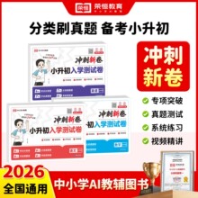 26版 新版小升初入学测试卷 冲刺新卷  语数英 专项突破