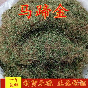 ���r��� �R��������~Ě�� �ɰ��� �Sđ�� С����؛��؛