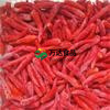 速冻金塔益都红朝天椒辣椒新季辣椒速冻辣椒
