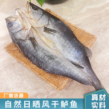 風干鱸魚450g海鱸魚開背冷凍深海魚去內臟烤魚酒店食材半成品商用