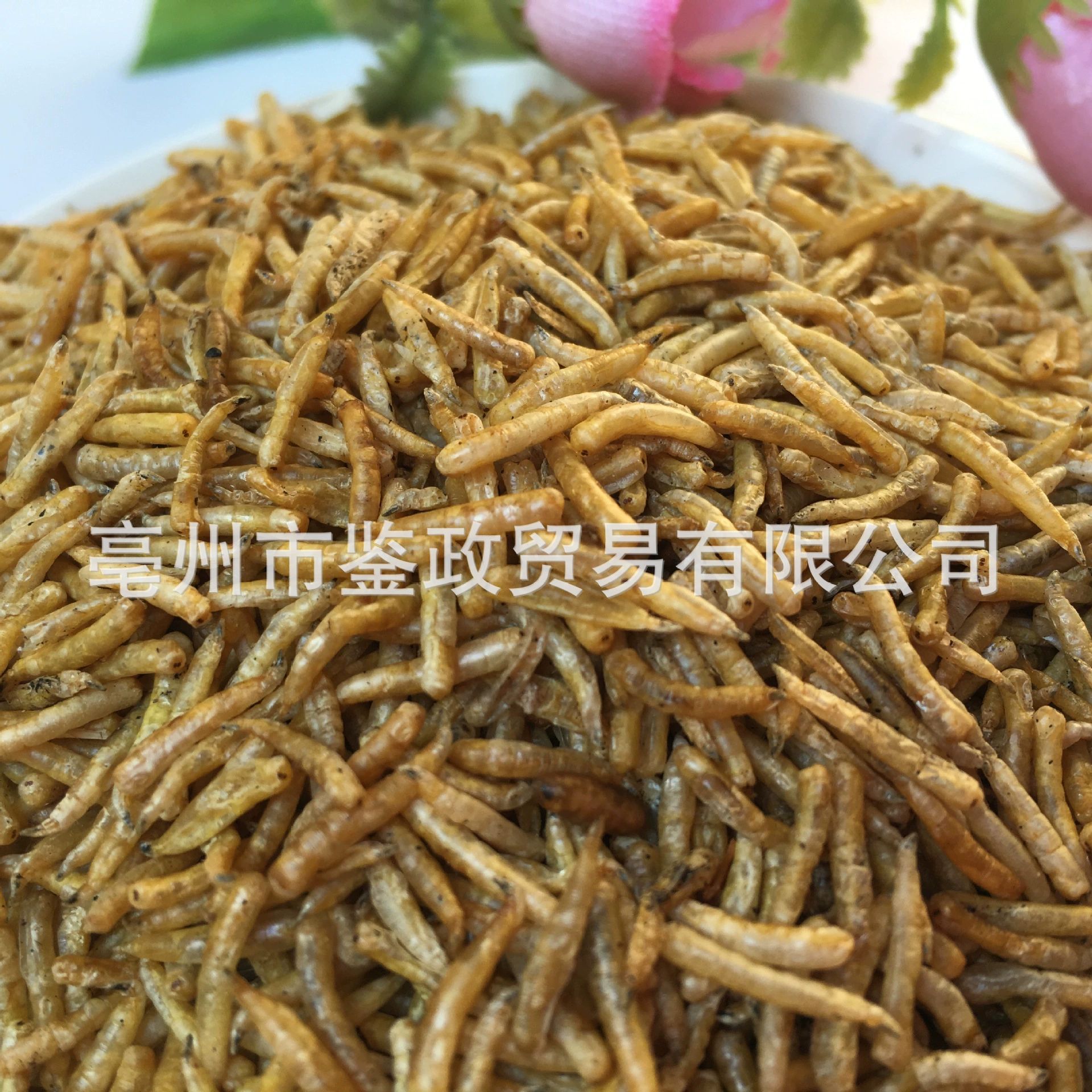 Dried Maggot Larvae Wu Gu Chong Boneless Insect Feed 500g Bag key features