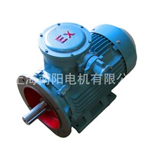 供应上海南阳防爆电机YBX3-200L-4 30KW 隔爆型三相380/660V BT4