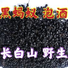 ؛|ΛρΛρɿɴݾƔMڶρ]؛؛