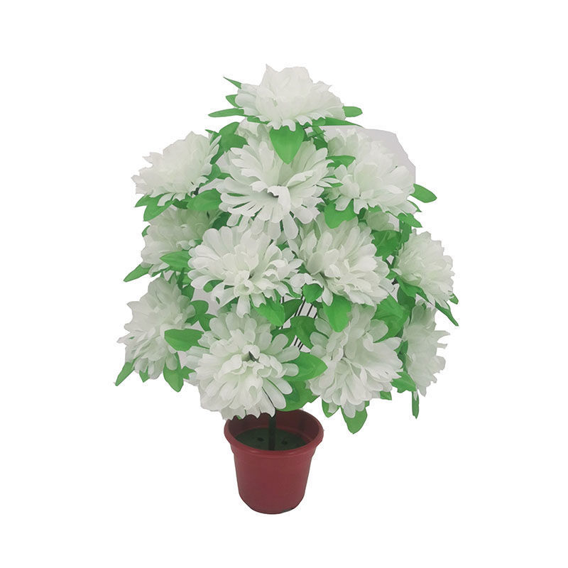 18-headed chrysanthemum with leaves (white) 1 branch - 1 branch + flowerpot quality choice