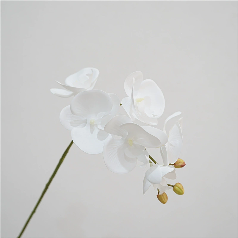3D-Printed Phalaenopsis Artificial Flower Stem, Realistic Touch, 36 cm, 6-Bloom