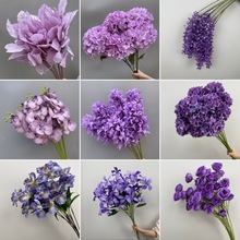 cɫϵ滨ĵֻĻYõbٻ·廨