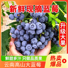 ��ϻ����ɽ�{ݮ���r��������ˮ��֦l25���ش��15mm+��S���]