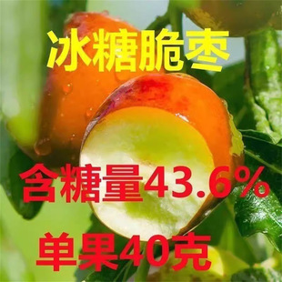 ���Ǘ���󴗗�����җ����痗�޽Ӵ�t�����Ե����ϱ����Nֲ����